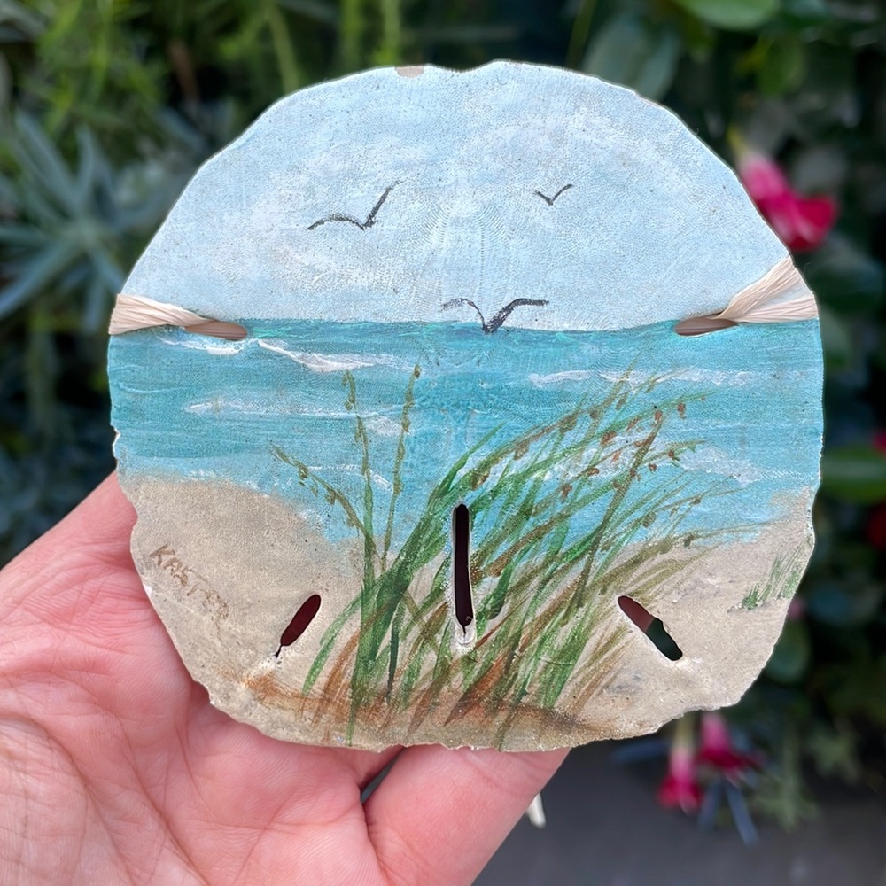 Hand painted sand dollar